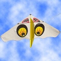 ゲイラカイト